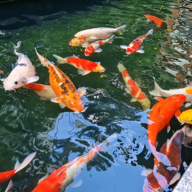 รีวิว Pullman Bangkok King Power