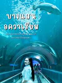 อควาเรียมบางแสน🐠🦀🪼 : ที่เที่ยวบางแสน