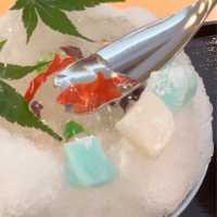 ~京都茶寮~可愛すぎる金魚鉢かき氷🍧