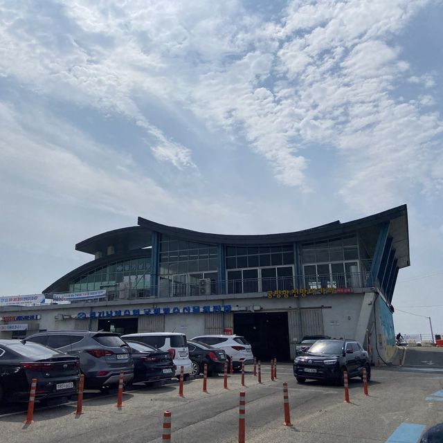 주말에 새우 먹으러 궁평항으로 떠나봐요 🦐 