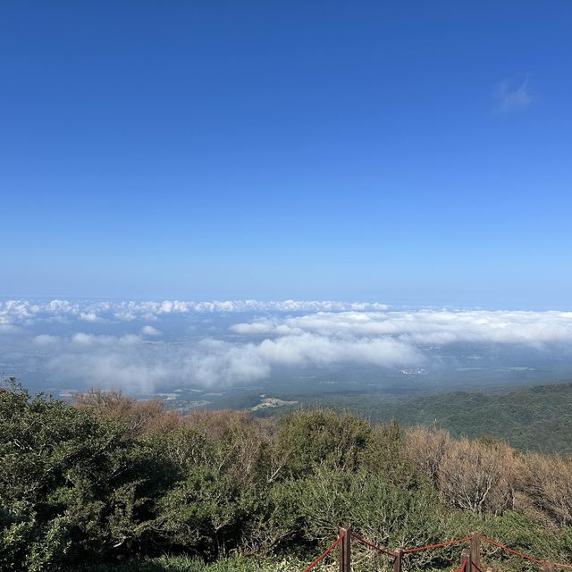 24h in Jeju - Hallasan mountain hike