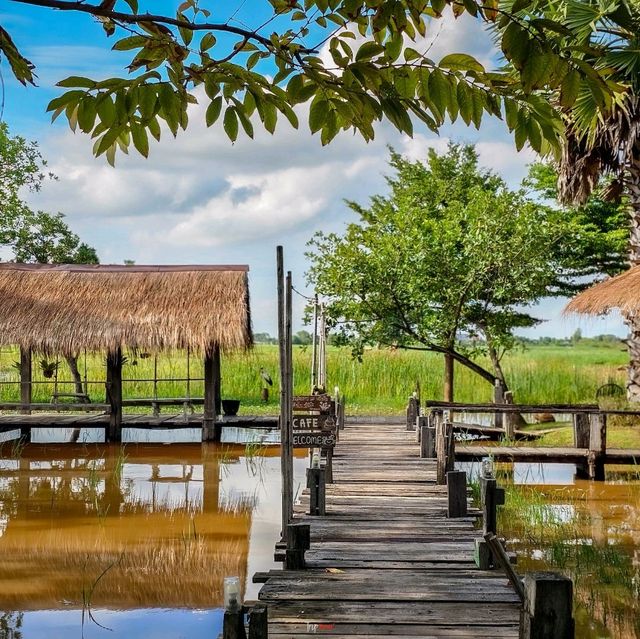 ที่พักเปิดใหม่ ชมวิวนาข้าว พิษณุโลก