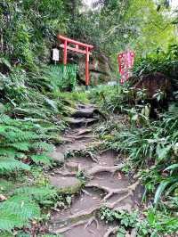 【神奈川県/佐助稲荷神社】かくれ里の稲荷