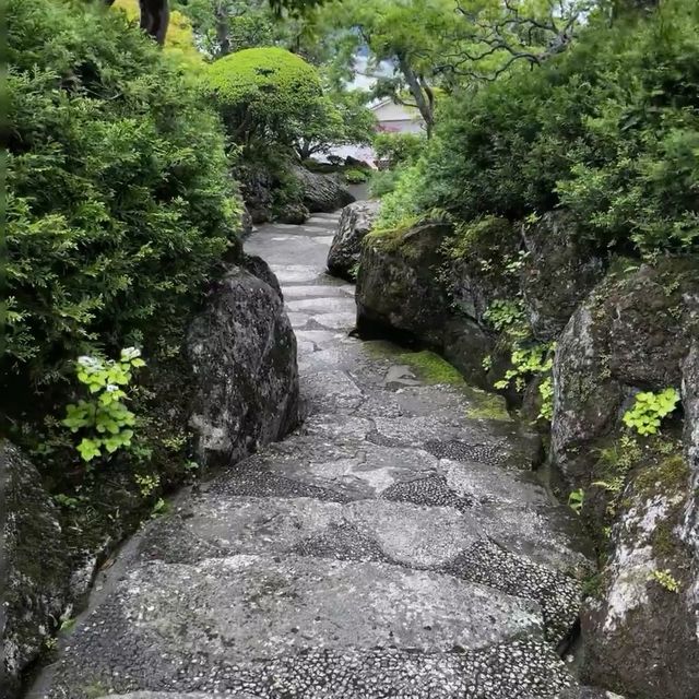 箱根美術館：融合藝術與自然的🌿日式庭院寶藏！