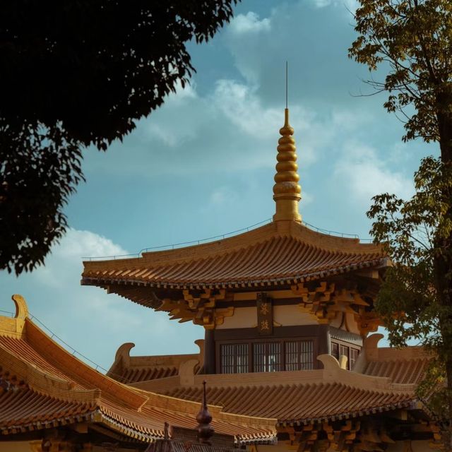 清照寺 🌸🏯和風古寺的心靈寄託🙏🍃