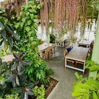 Kintamani Coffee - Eco Bike Coffee