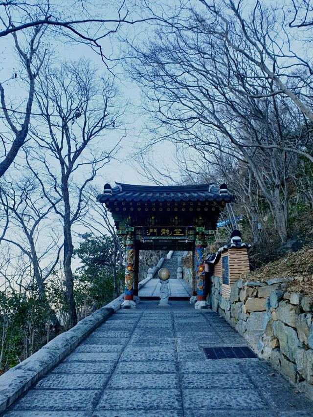 향일암 여수 오면 무조건 여기!