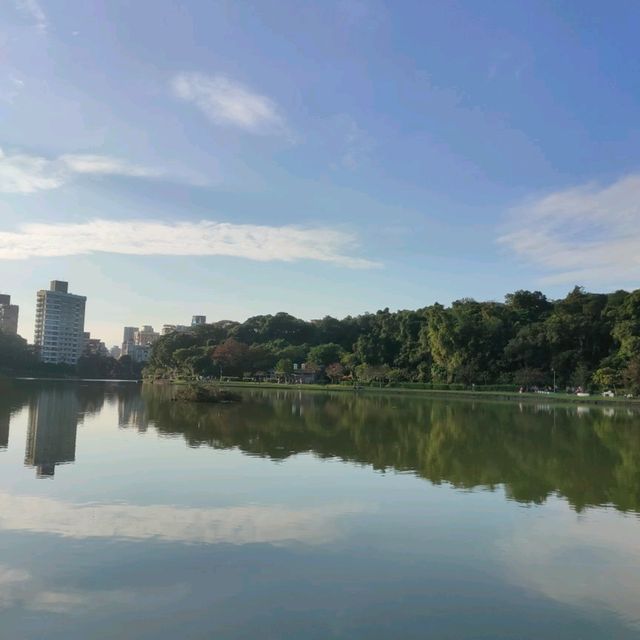 美麗又好散步的碧湖公園