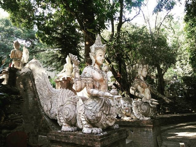 ทริปมิชชั่นนั่งสมาธิที่วัดผาลาด