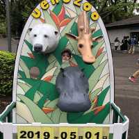 TOKYO ON THE GO 🇯🇵