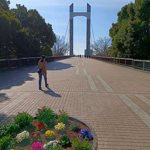 東京木場公園河津櫻