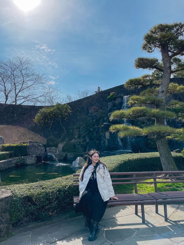 세계에서 가장 아름다운 정원🌳 제주 분재정원