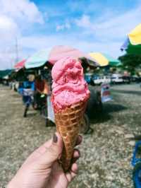 Starwberry Farm
