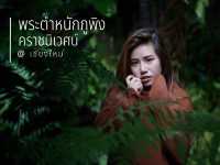 เที่ยวชมธรรมชาติที่พระตำหนักภูพิงคราชนิเวศน์