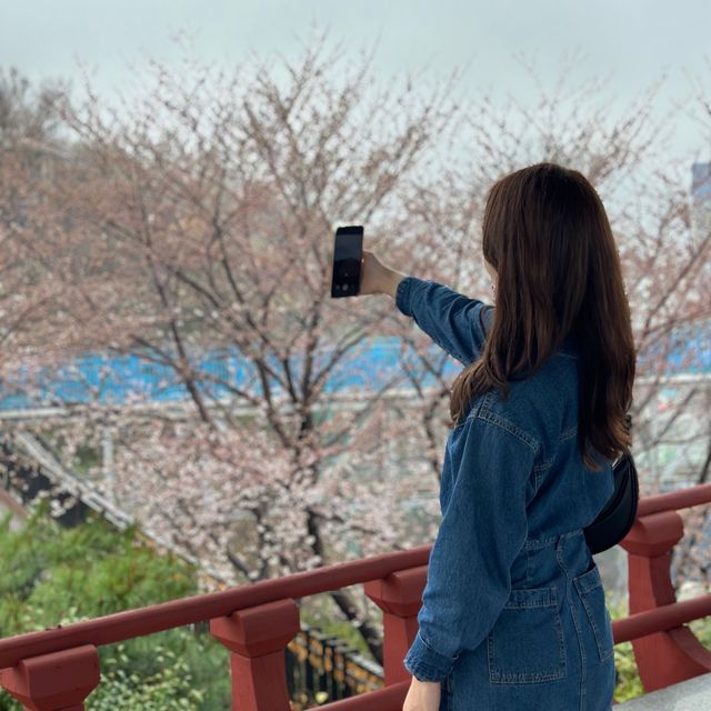여수 가볼만한 곳 돌산공원 여수해상케이블카