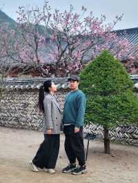 봄날을 만끽하는 예쁜 봄꽃들이 모여 있는 운문사🌸