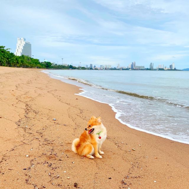 ทริปพัทยา เบลล่า วิลล่า คาบาน่า