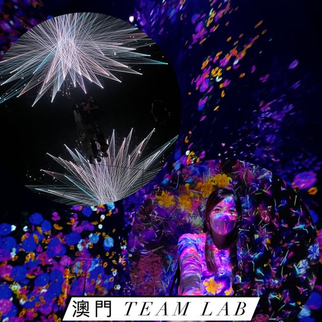[澳門 Team Lab] 大人 細路都岩玩