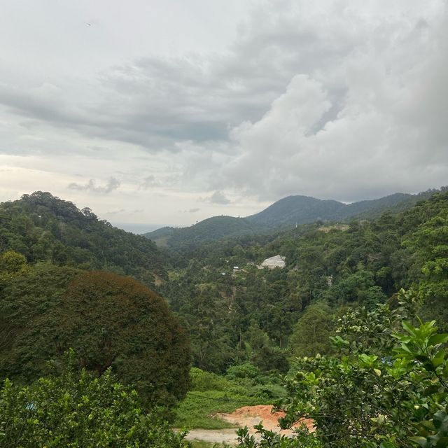Tropical Fruit Farm: Where Nature Blooms