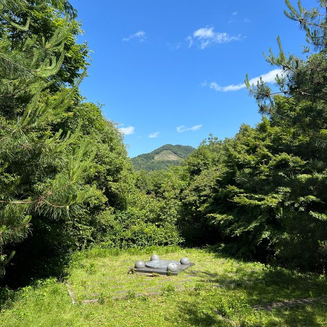 【京都】新緑の季節にピッタリ！山頂の隠れカフェ