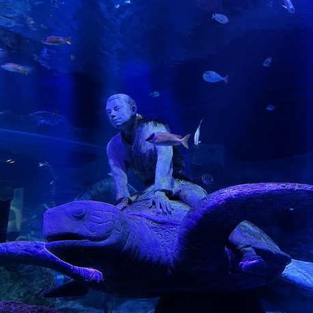 🏝SEA LIFE🐠 | Trip.com 名古屋