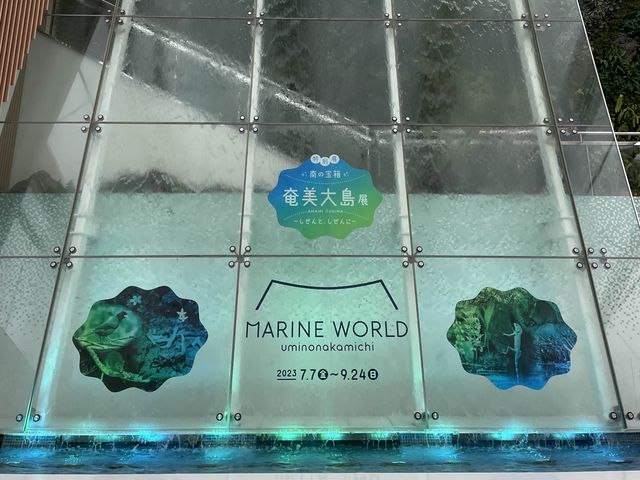 【福岡】国内2ヶ所！ラッコが見られる水族館🦦