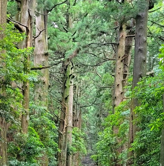 熊野古道體驗日本優美行山徑