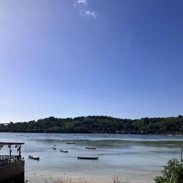 Nusa Lembongan 🦎🏝️