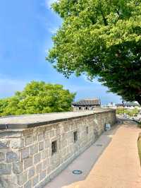 수원 데이트코스 나무와 돌담길🌳🪨 장안문! 🥰