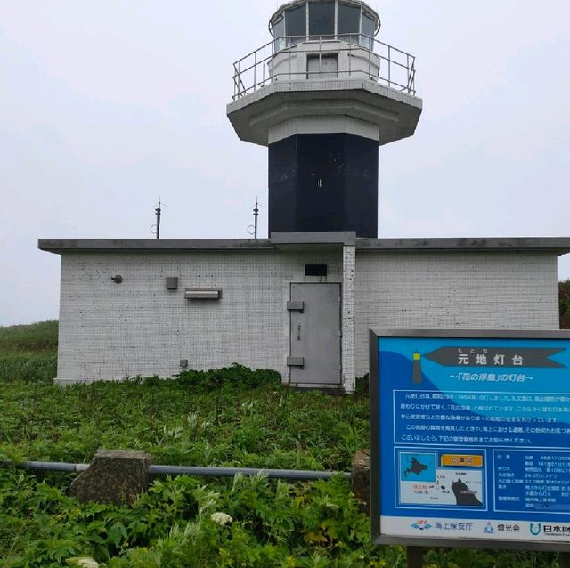 【礼文島】雨が降った時の北海道礼文島の楽しみ方☂