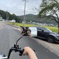 스쿠터 처음이여도 탈 수 있게 도와주시는 휠프렌즈!