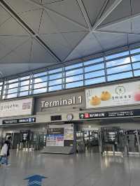 《搭乗記》中部国際空港→仁川国際空港✈️大韓航空🇰🇷空の旅☁️