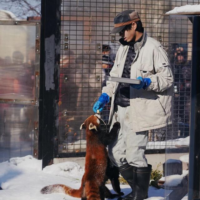 🐧❄️🎪旭山動物園～企鵝天堂🌟😄