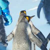 🐧❄️🎪旭山動物園～企鵝天堂🌟😄