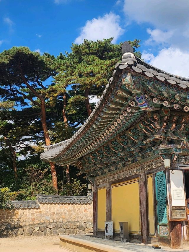 아름다운 도시 경주의 불국사를 소개합니다!