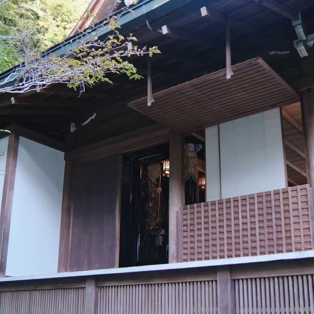 🌸🍵 寶光院～禪意與和諧的日式庭院🌸🍵
