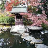 廣隆寺：京都最古老佛寺，歷史文化之旅