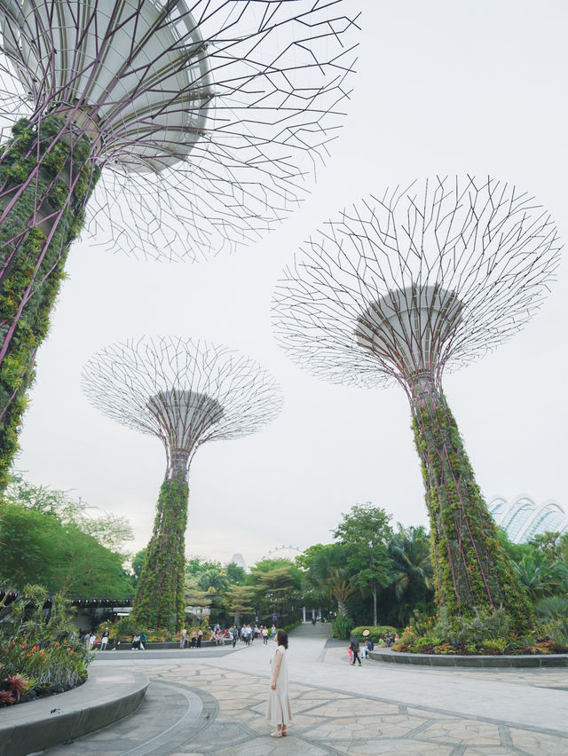 シンガポール🇸🇬 定番観光スポット