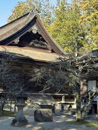 高野山：霊と自然の調和 🏞️🏯