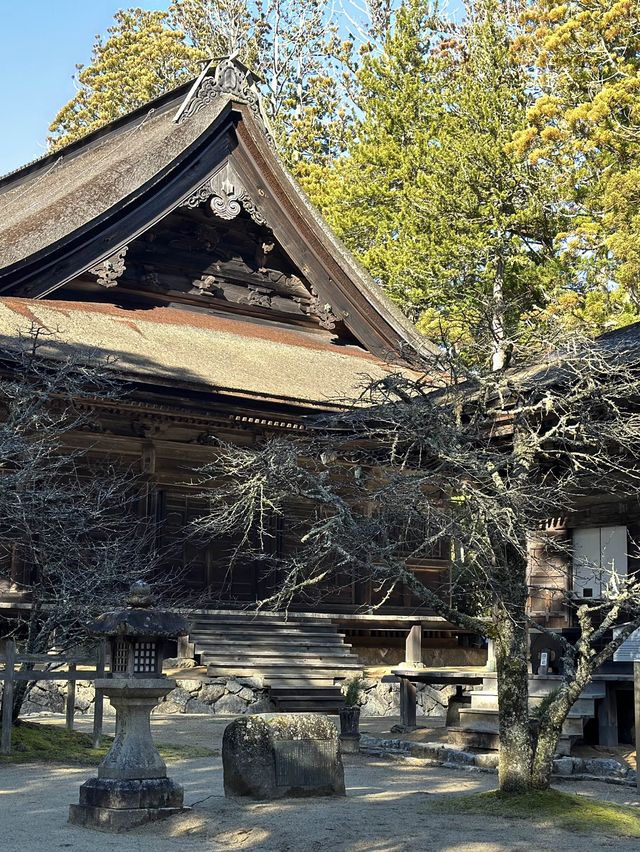 高野山：霊と自然の調和 🏞️🏯