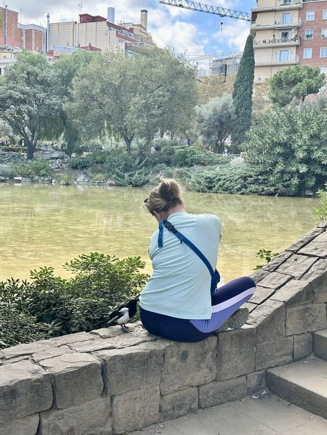 가우디와 함께하는 낭만과 예술의 도시 바르셀로나