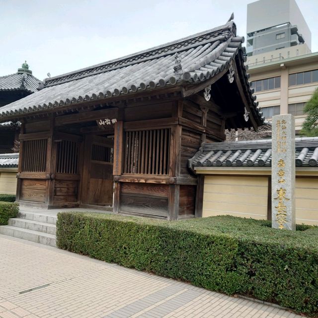 2023年 福岡観光！「東長寺」