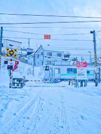 【北海道】エモい写真撮れること間違いなし📸海に面した極寒の駅を紹介🔍