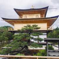 ［京都］金閣寺（鹿苑寺）｜金光閃閃的世界遺產