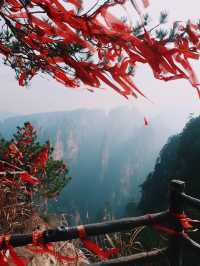 The Avatar Mountains - Zhangjiajie🌲🏔️