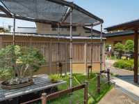 Bonsai Art Museum in Saitama