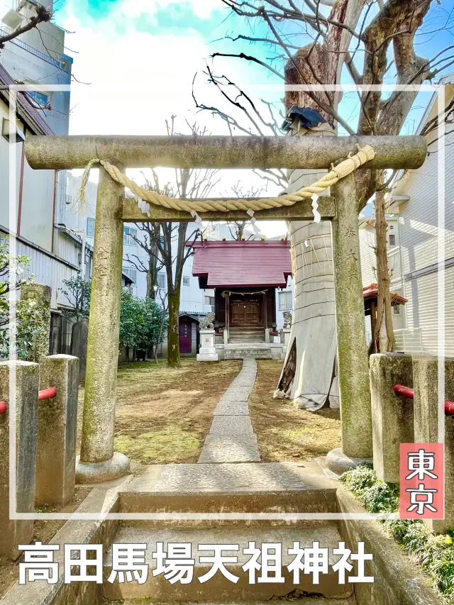 【東京都/高田馬場天祖神社】立派な御神木と天照大御神を祀る神社