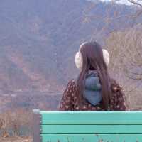 겨울에도 산책하기에 너무 좋은 가평 자라섬