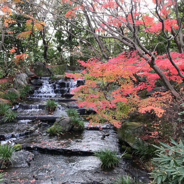 Himeji Park 🌿💐🌺