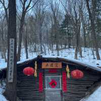 《哈爾濱美食冰雪之旅:探索中國雪鄉與大教堂》